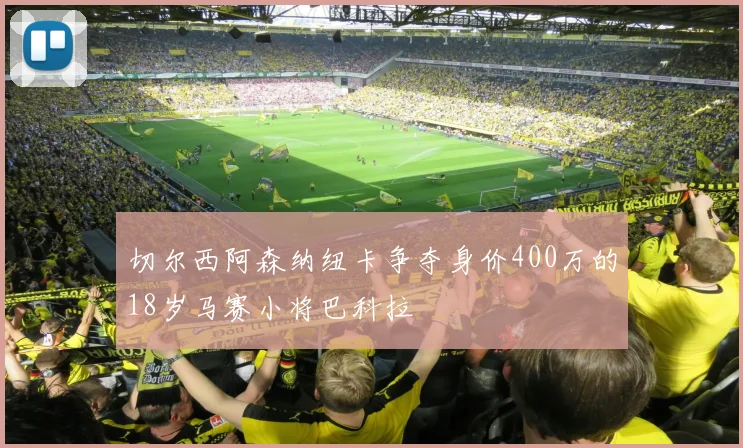 切尔西阿森纳纽卡争夺身价400万的18岁马赛小将巴科拉