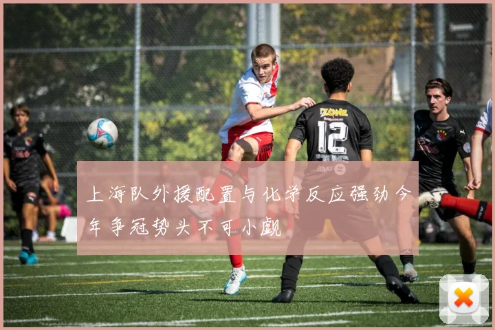 上海队外援配置与化学反应强劲今年争冠势头不可小觑