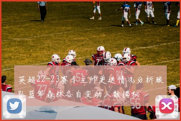 英超22-23赛季主帅更迭情况分析狼队蓝军森林各自变动人数揭秘
