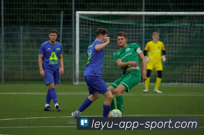 乐鱼体育APP 封面图